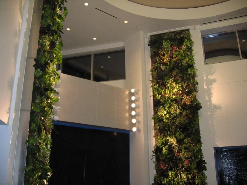 Custom office plantscape wall