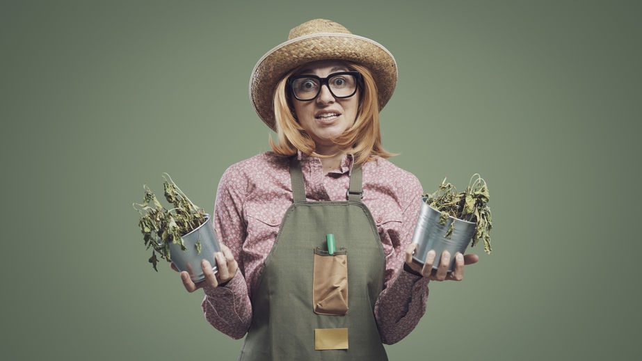 Disappointed woman holding dead plants: gardening failure concept