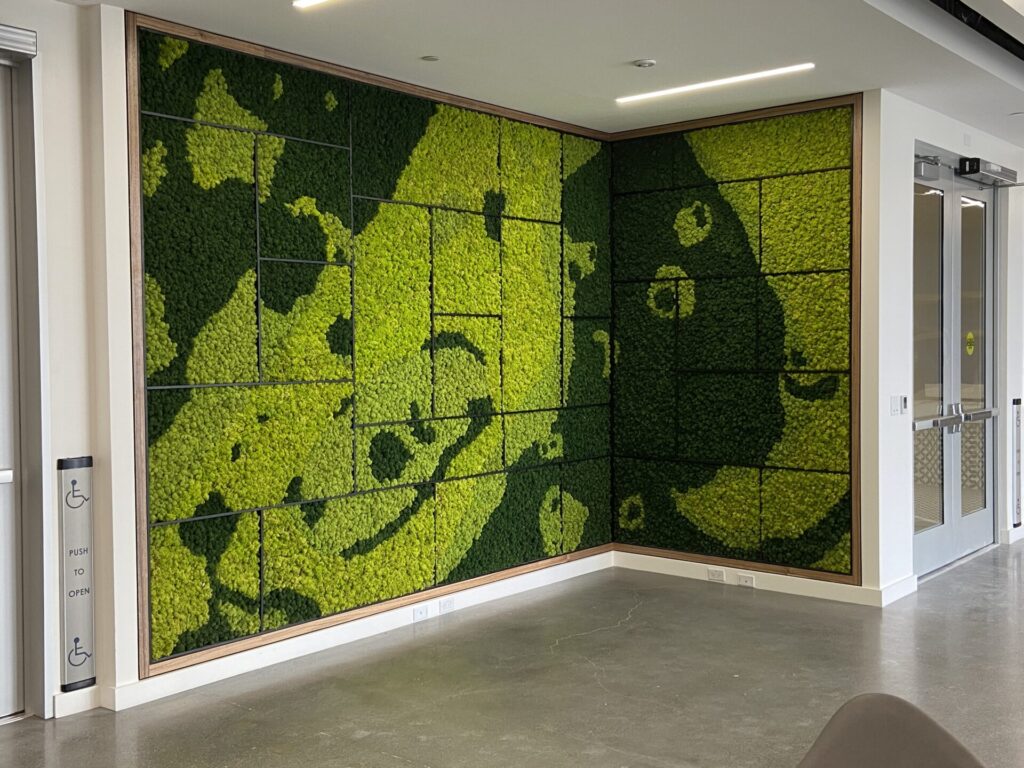 Office moss wall