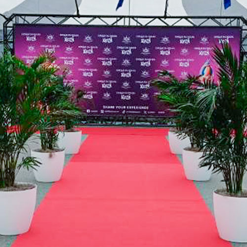 Short term plant rental setup for corporate event